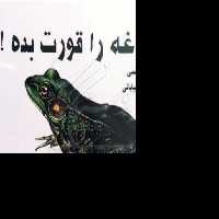 قورباغه را قورت بده(کتابچه)ناشر دالیا نویسنده برایان تریسی مترجم پری ناز خیابانی