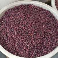 لوبیا قرمز ممتاز کیلو 85