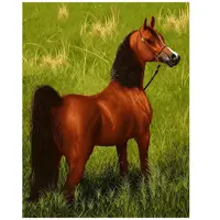 کد 26053 - نخ و نقشه کامپیوتری تابلو فرش عرشیان طرح حیوانات و پرندگان - اسب