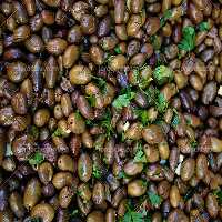 عکس با کیفیت زیتون | گرافیک با طعم تربچه