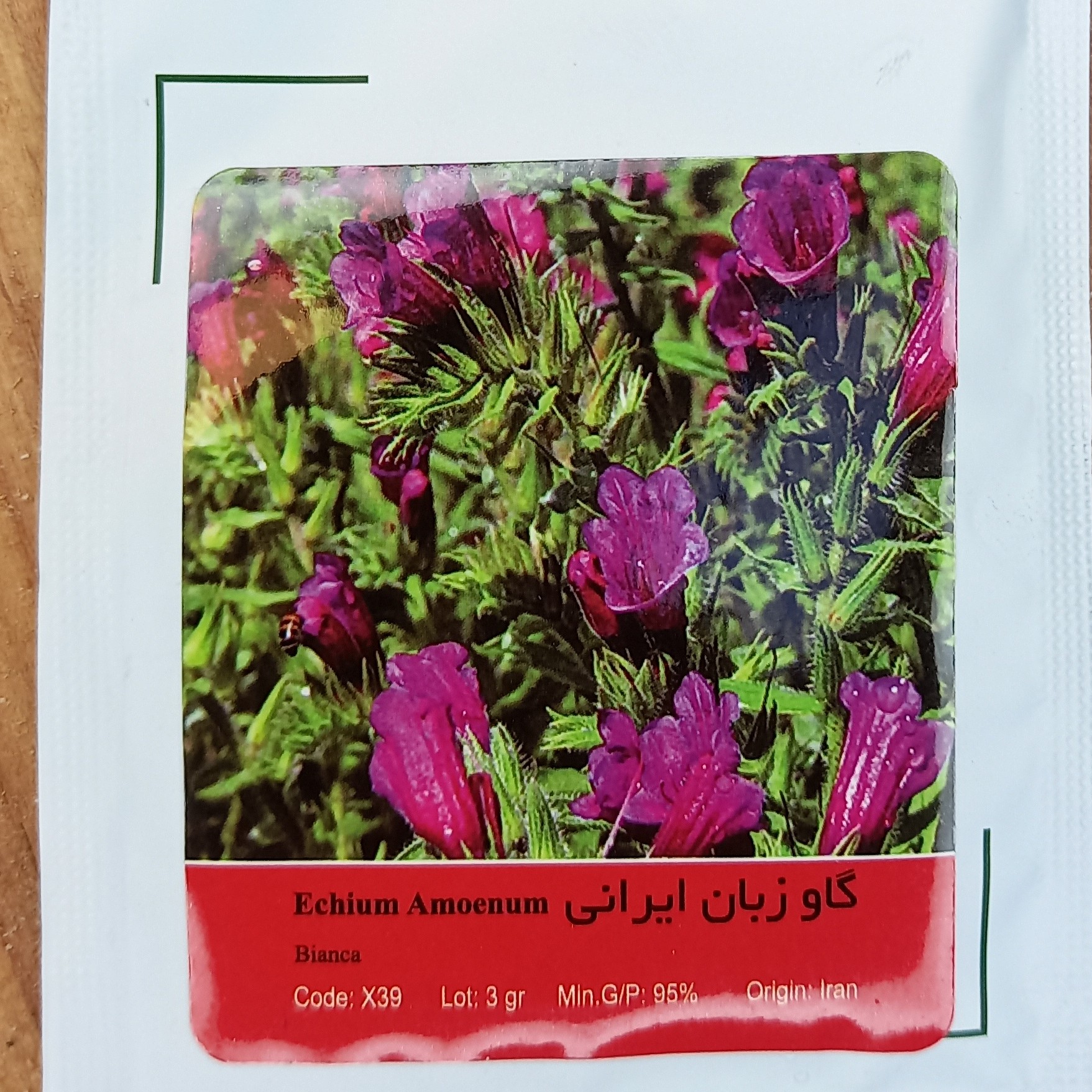 بذر گیاه دارویی گاو زبان