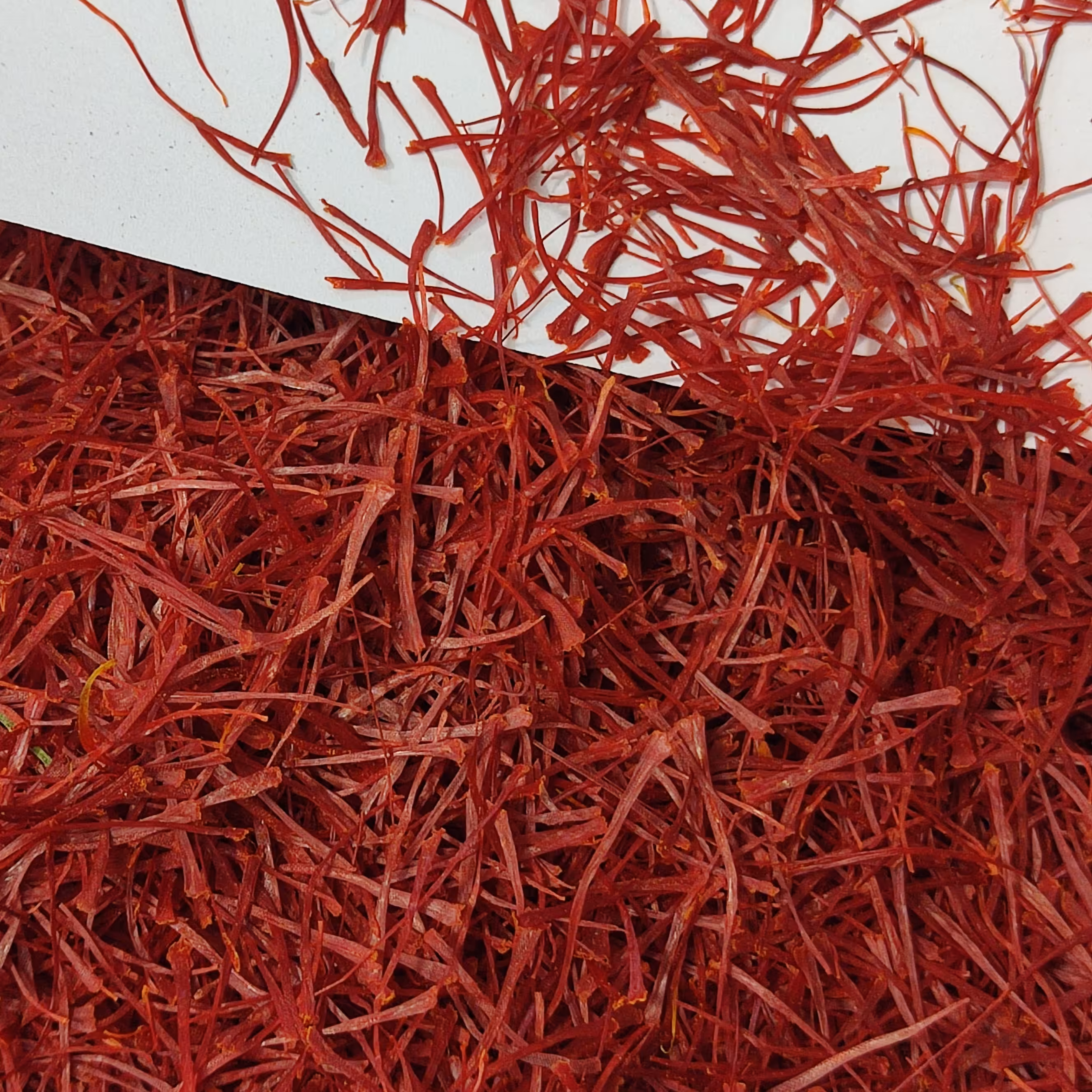 زعفران نگین صادراتی