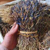 گیاه غافث 100 گرم 