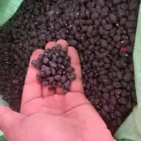 لوبیا سیاه سه کیلویی حبوبات ارگانیک برای بدنسازان و ورزشکاران