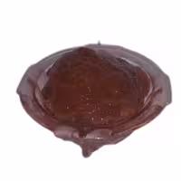 رب آلوچه ارگانیک خاتون(300گرمی)