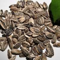 تخمه آفتابگردان نمکی لیمو 210 دانه یک کیلویی