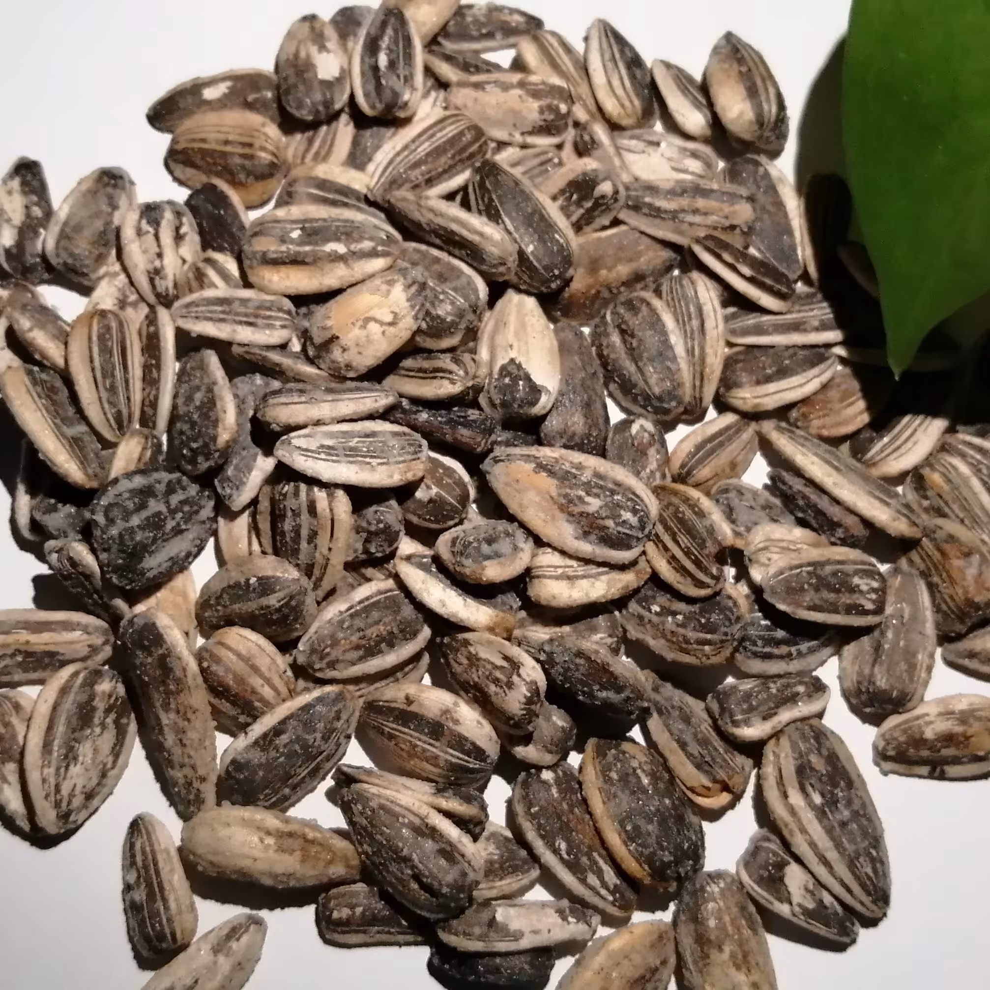 تخمه آفتابگردان نمکی لیمو 210 دانه یک کیلویی