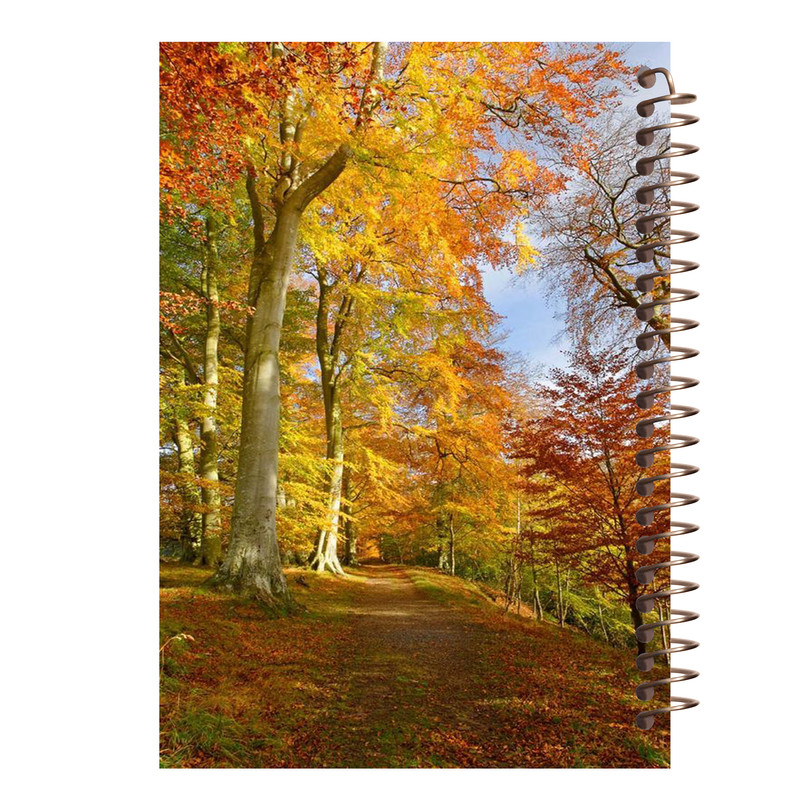 دفتر یادداشت آف تاب شهر مدل جنگل کد 4264