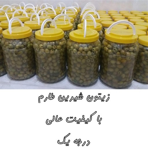 زیتون با هسته طارم اعلا