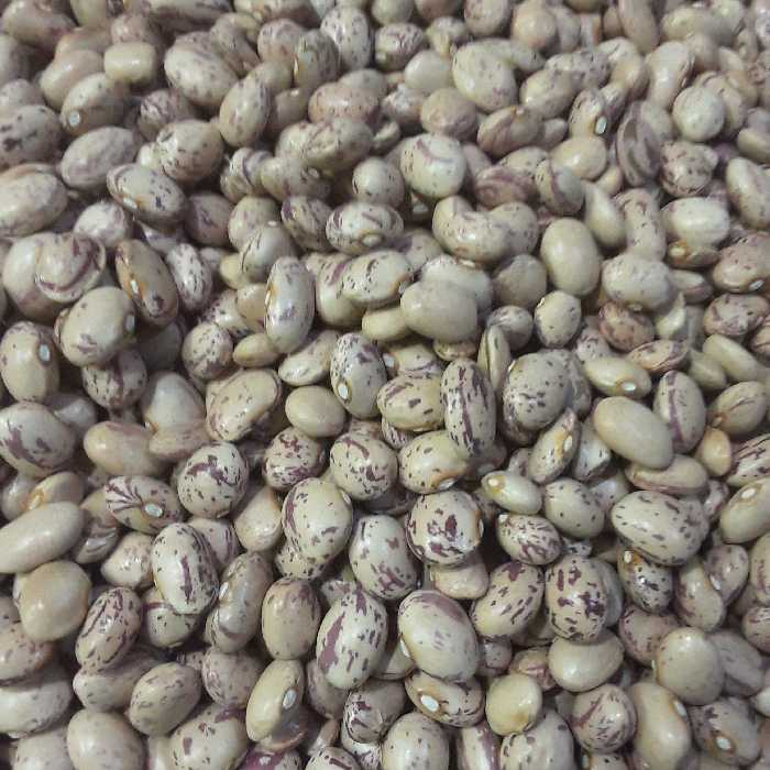 لوبیا چیتی محلی دستچین کنسروی چهار گل چهارمحال وبختیاری(800گرمی)درشت درجه یک