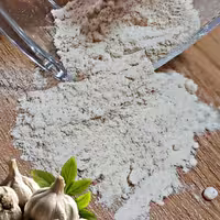 پودر سیر ایرانی رامونا ارگانیک خالص و خوش بو