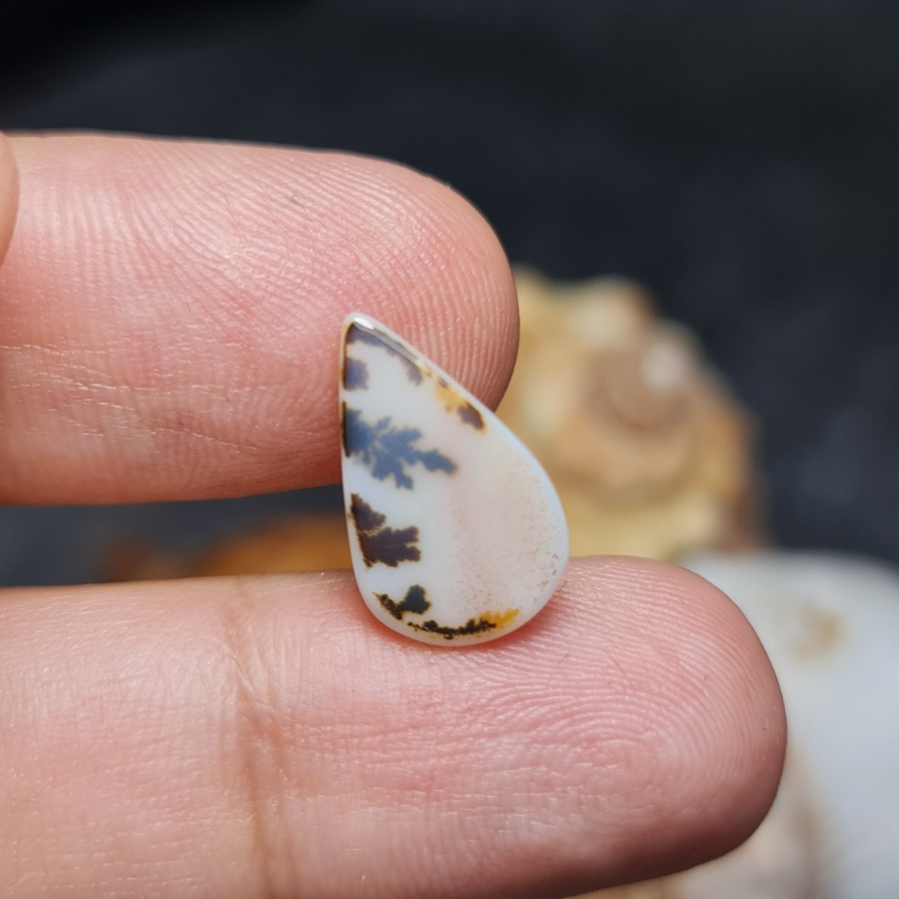 نگین فوق العاده زیبای سنگ صد درصد طبیعی عقیق شجر اصل معدنی
کد 28063