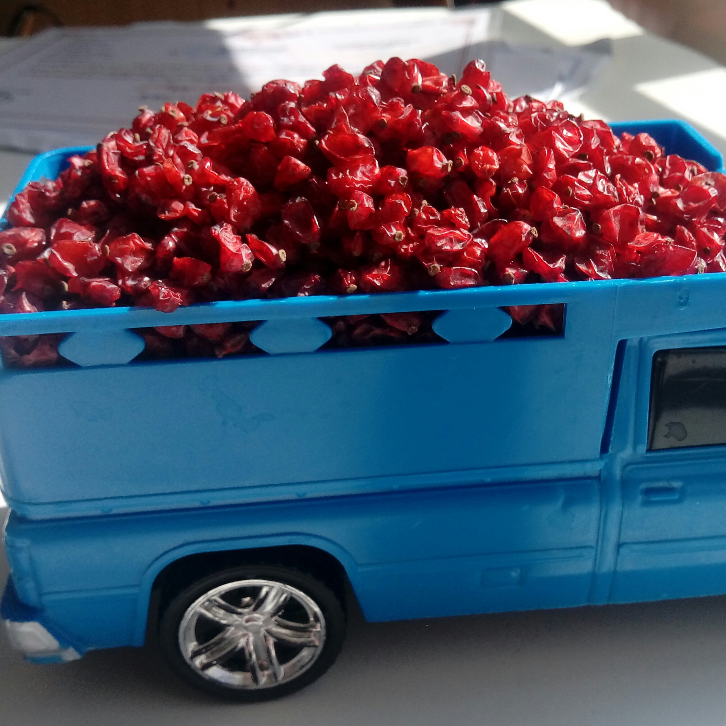 زرشک دانه اناری(800 گرمی)