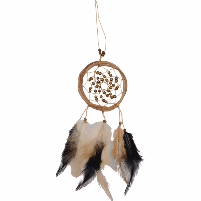 آویز دریمکچر طرح کابوسگیر کد 22