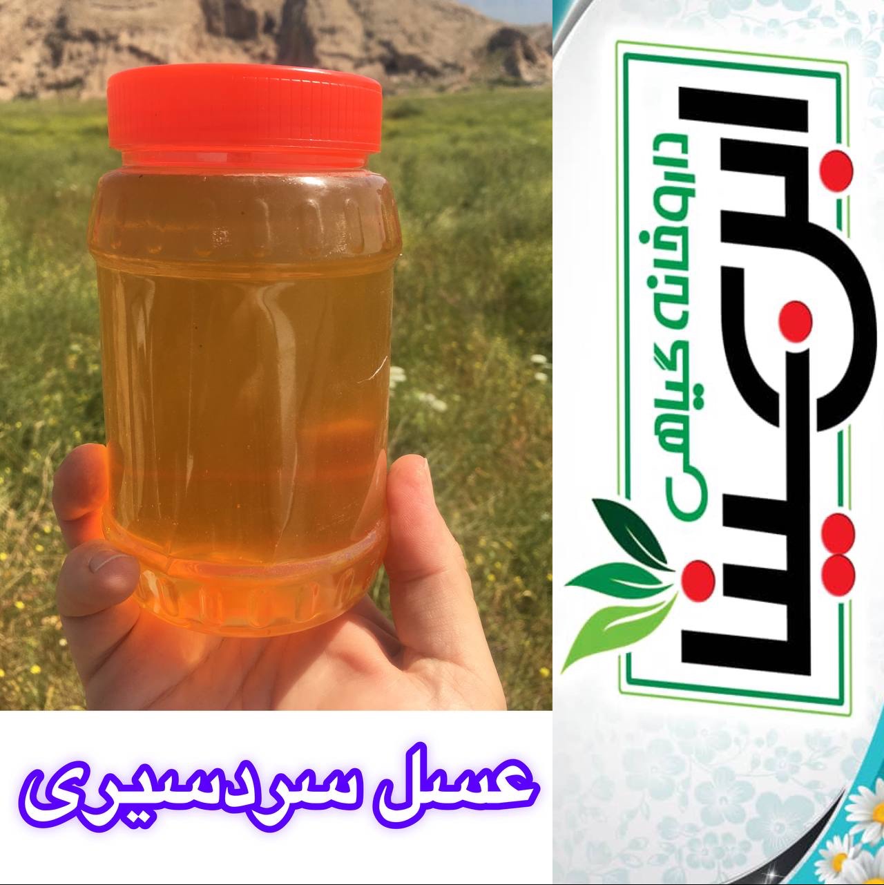 عسل سردسیری دشت ارژن فارس