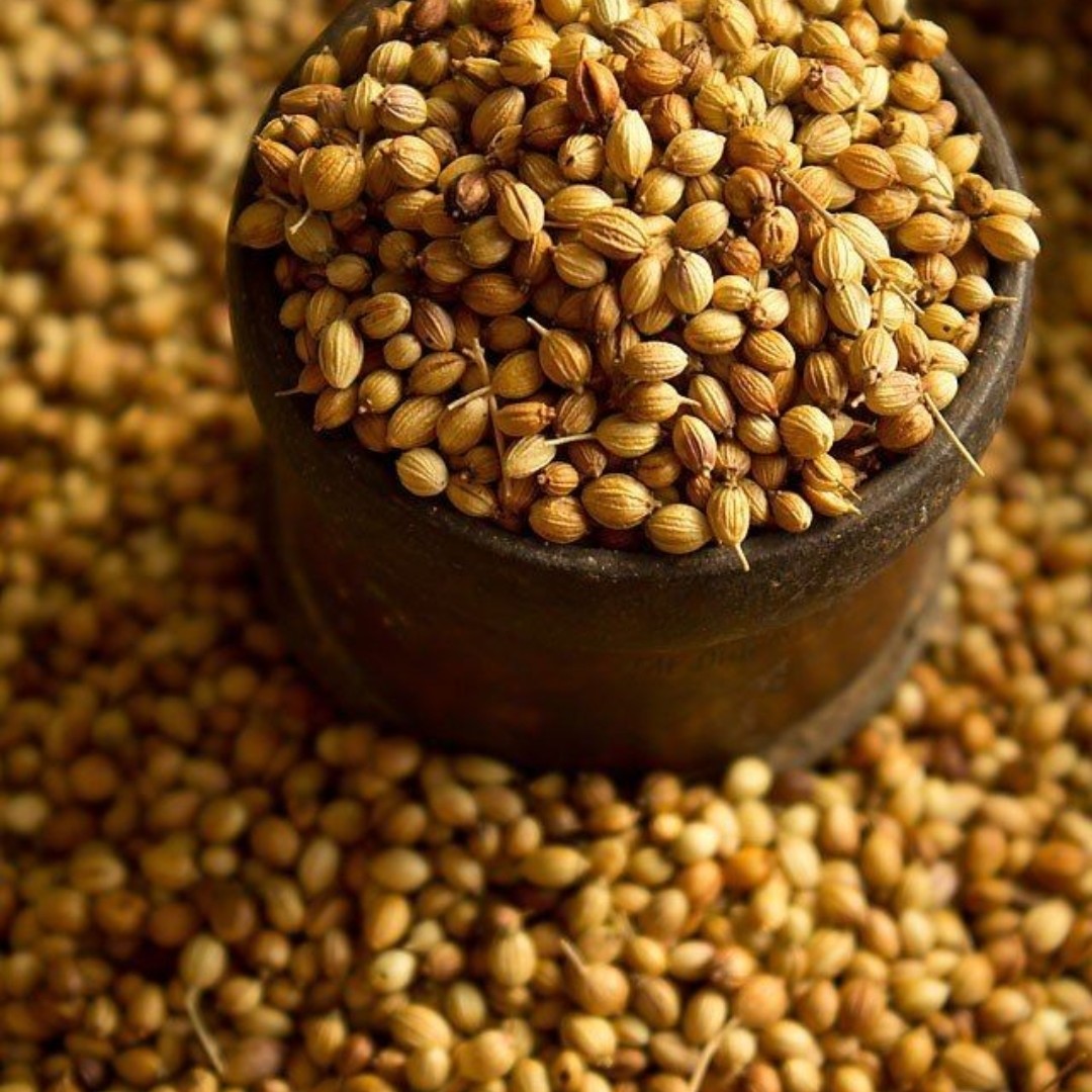 تخم گشنیز  (آسیاب نشده) 60گرمی