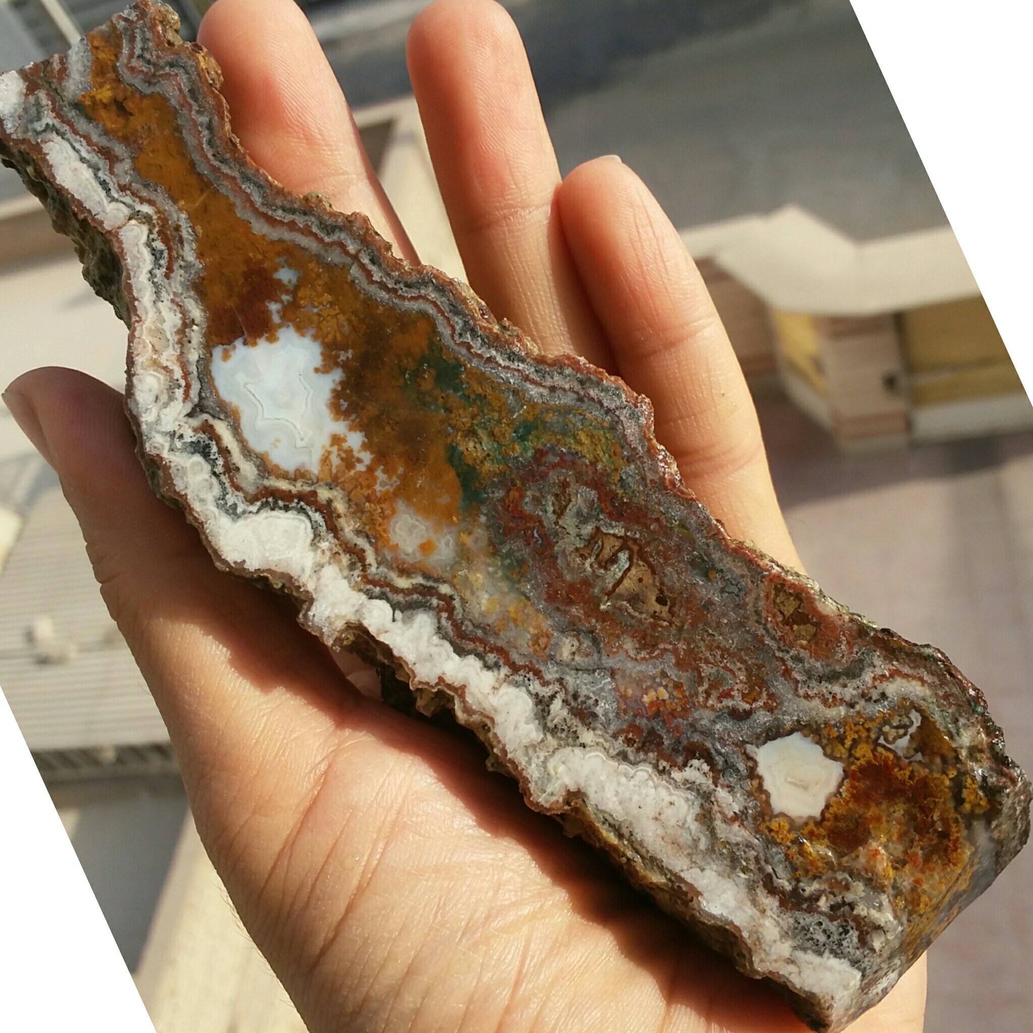 اسلایس سنگ راف شجر منظره 7رنگ خارق العاده و چشم نواز محشر دیدنی 100 در 100 طبیعی شاهکار خلقت
تابلو نقاشی طبیعی