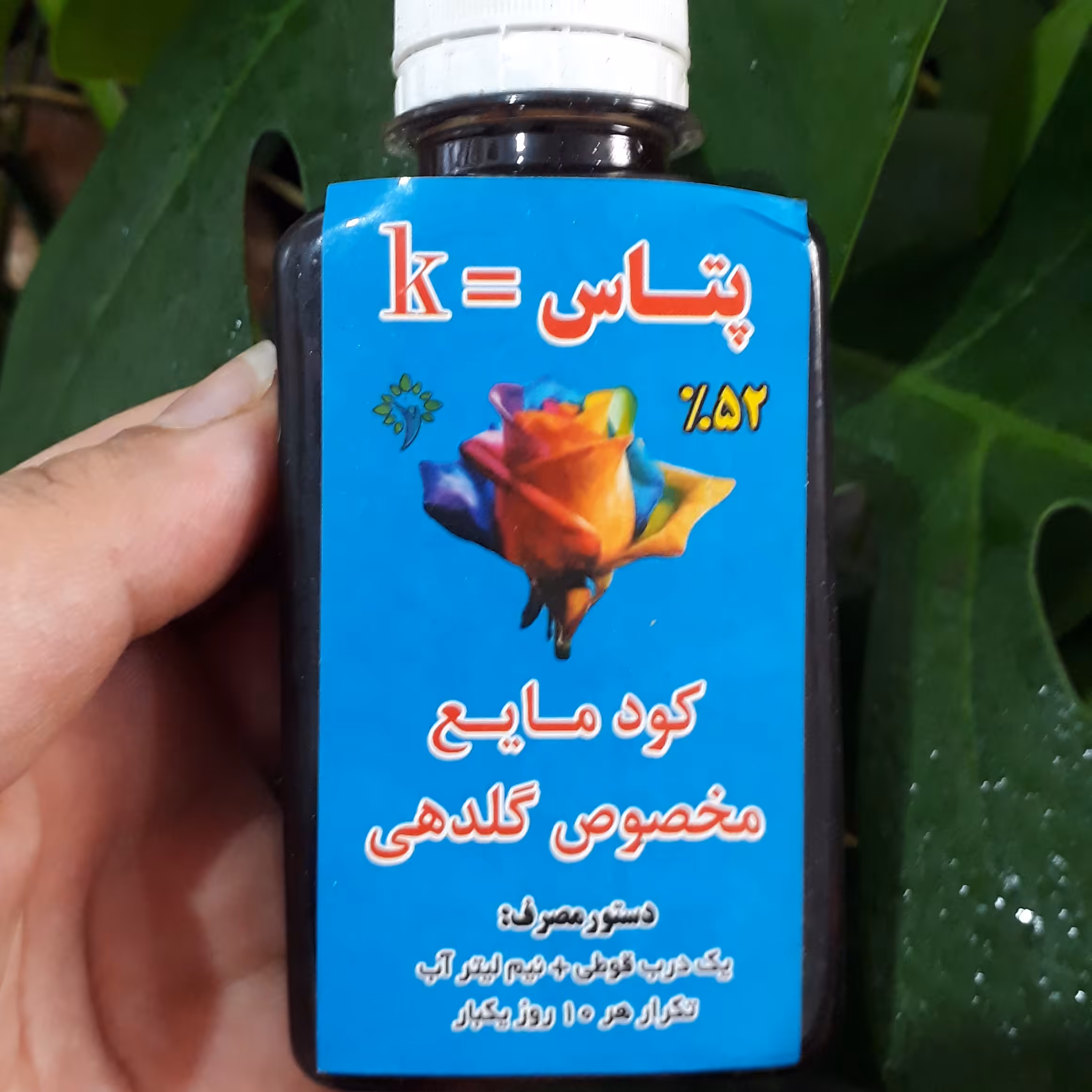 کود گلدهی باعث تقویت گلدهی میشه 