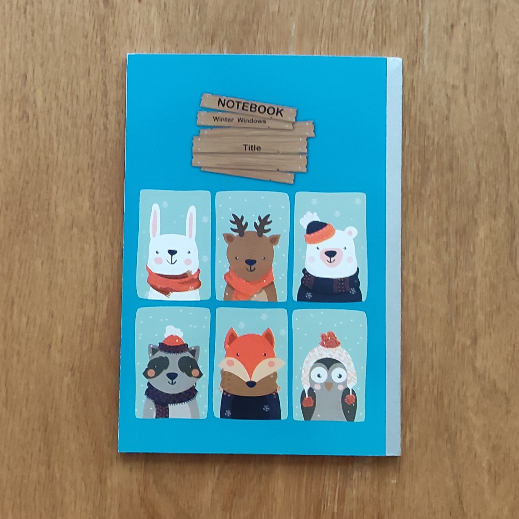 دفتر مشق 60 برگ پاپکو طرح winter windows، دفتر  جلد مقوایی، دفتر خط دار

