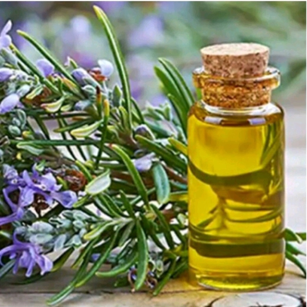 روغن رزماری ،خالص و درجه یک ،پیشگیری از ریزش مو،جهت رشد و تقویت موی سر ،ابرو و مژه مسکن سردرد و میگرن، جهت ماساژ