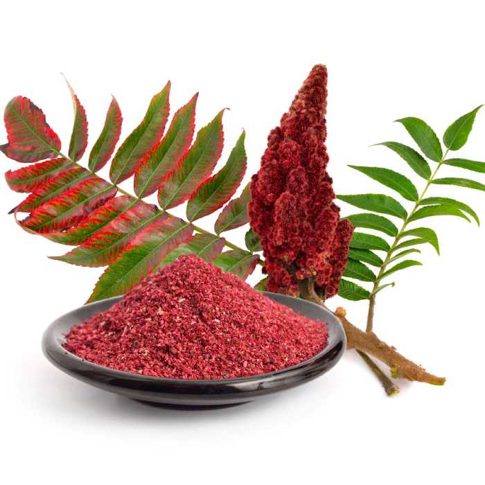 سماق قرمزخالص500گرمی KFC