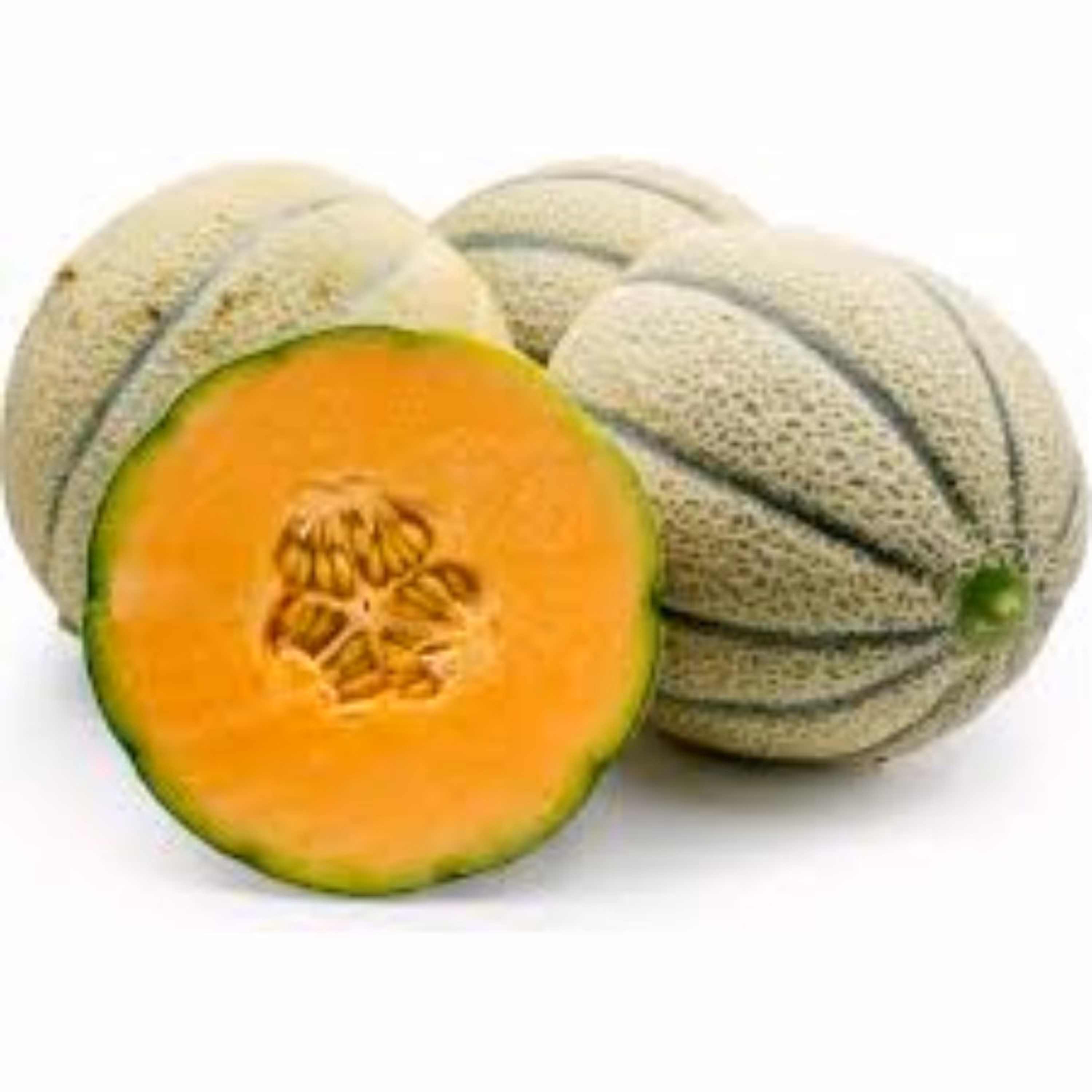 بذر طالبی زود رس 20عددی