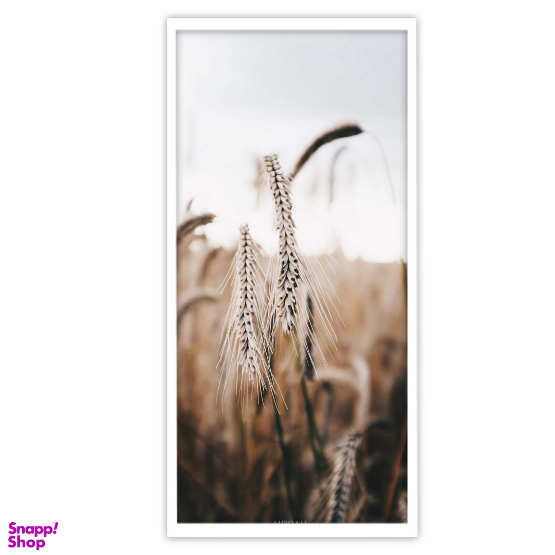 تابلو بکلیت طرح عکاسی طبیعت گندمزار مدل W-S3424