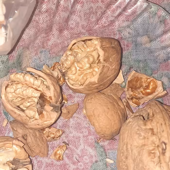 گردو با پوست کاغذی بصرفه اقتصادی (700گرم)