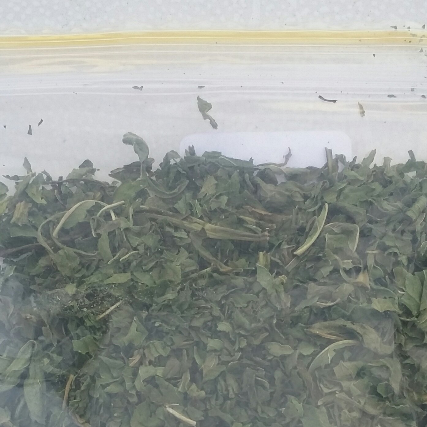 نعنا خشک خرد شده خالص(از برگ دستچین و پاک شده از ساقه)