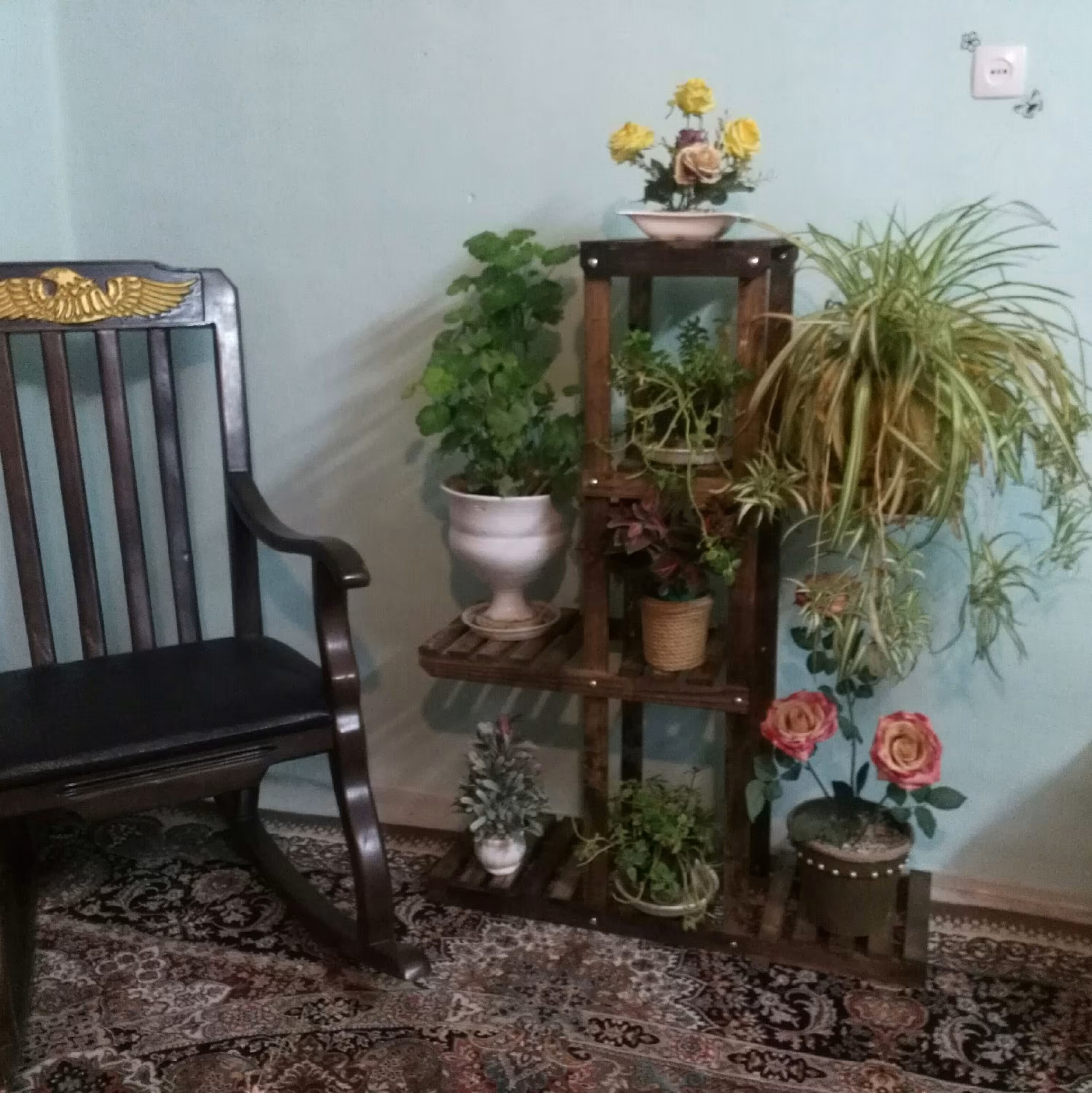 استند گل چوبی چپ و راست چهار طبقه 120 در 90