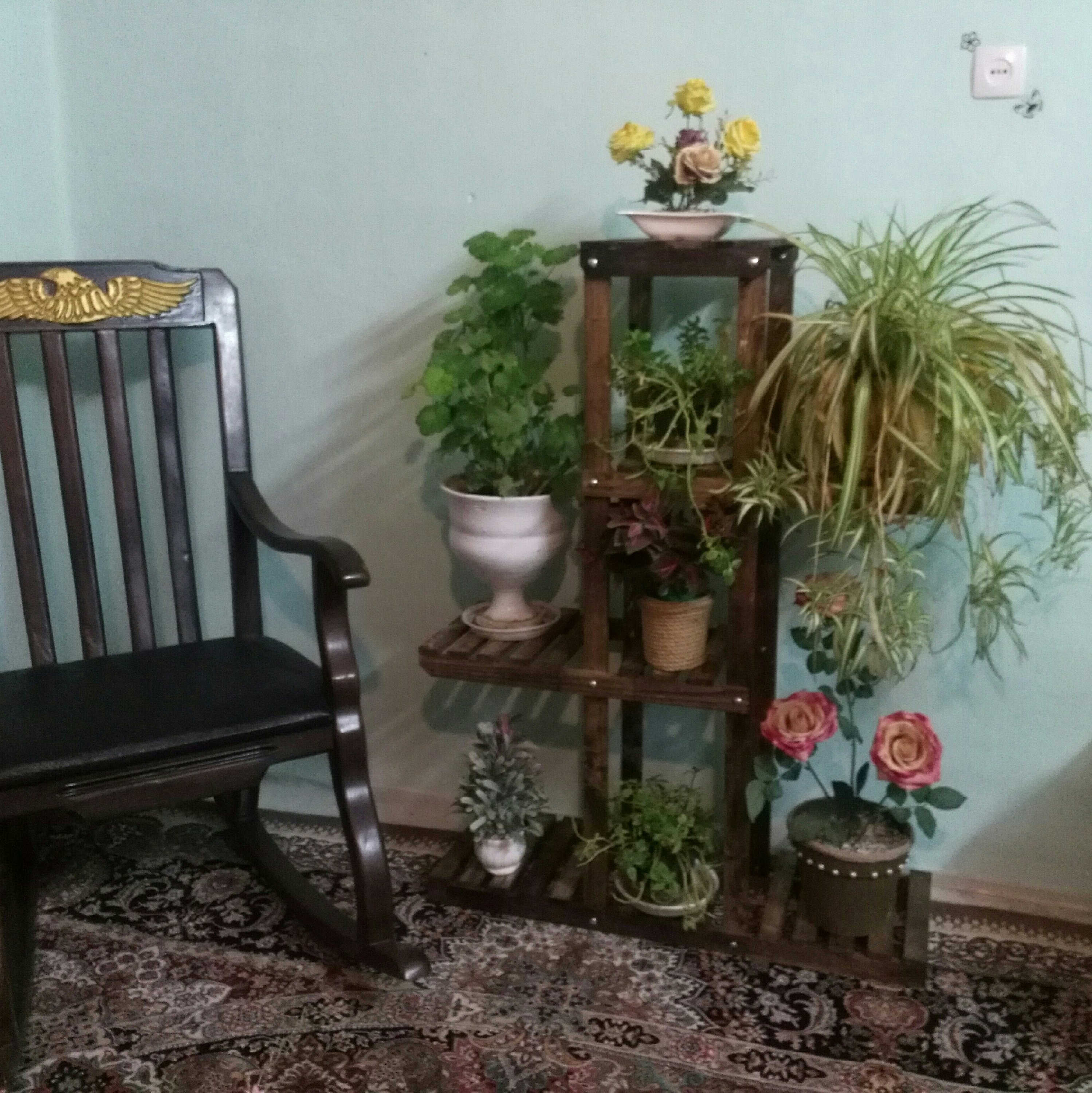 استند گل چوبی چپ و راست چهار طبقه 120 در 90