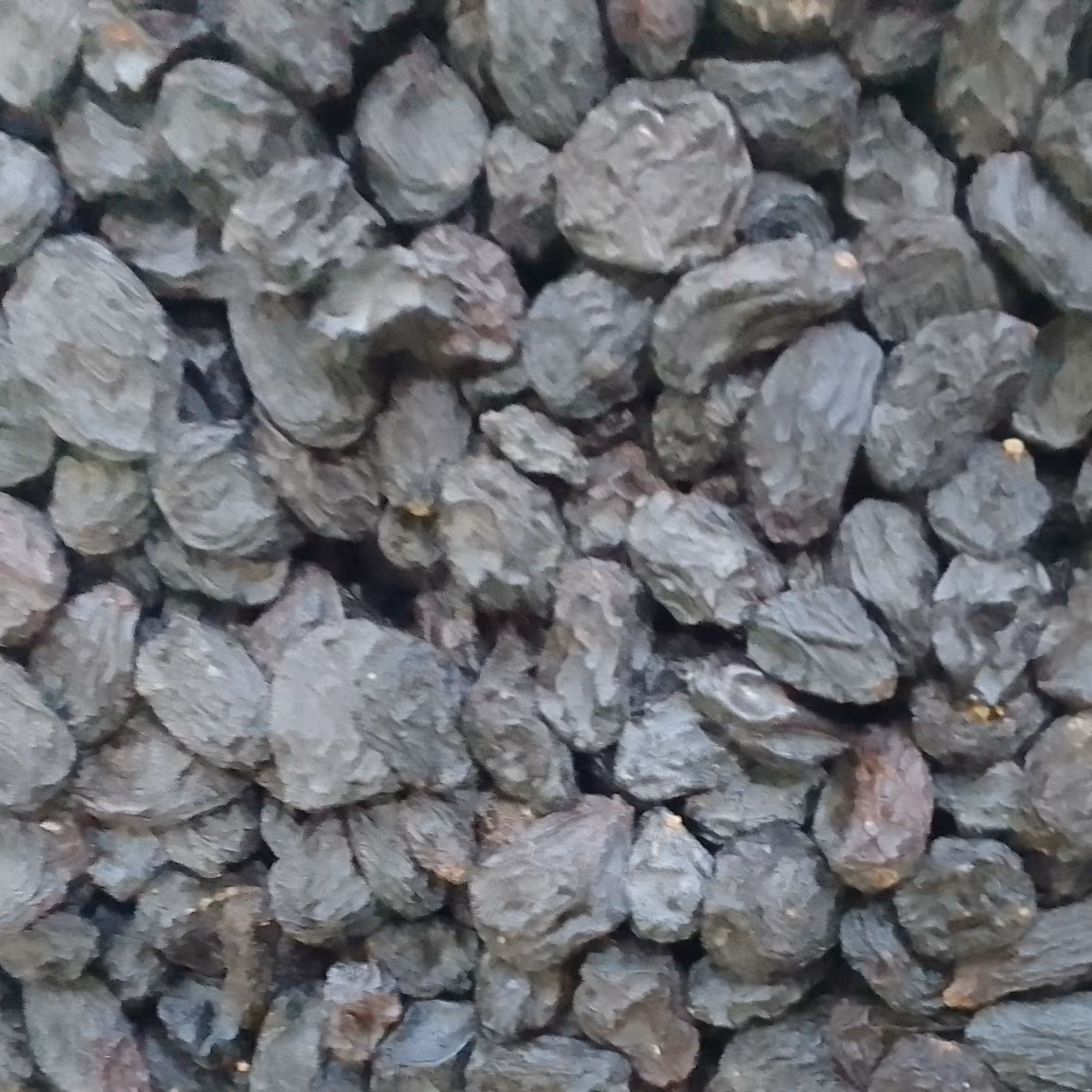 مویز اعلا افغان .. بی دانه ( 500 گرم)