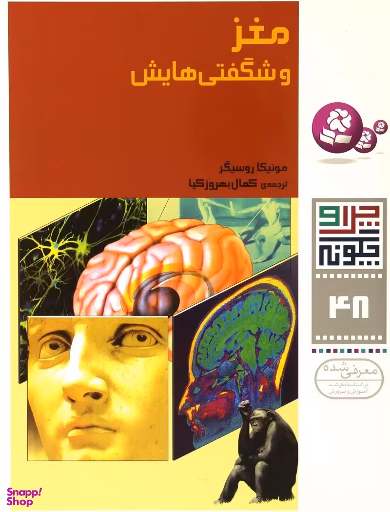 کتاب چرا و چگونه 48: مغز و شگفتی هایش اثر مونیکا روسیگر انتشارات کتابهای بنفشه