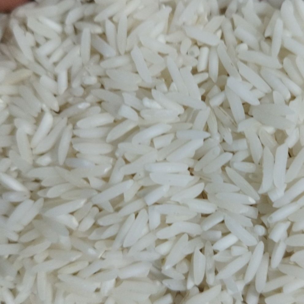 برنج طارم فریدونکنار (ندا) سوزنی خوشپخت و خوشطعم و صددرصد ایرانی مستقیم از تولید کننده 5 کیلویی بوجارشده ارسال پسکرایه