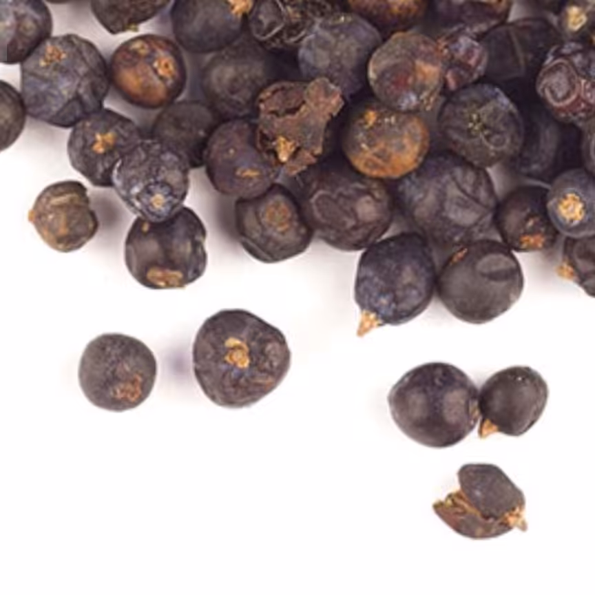 ابهل یا مای مرز نیم کیلویی عطاری دستانی 