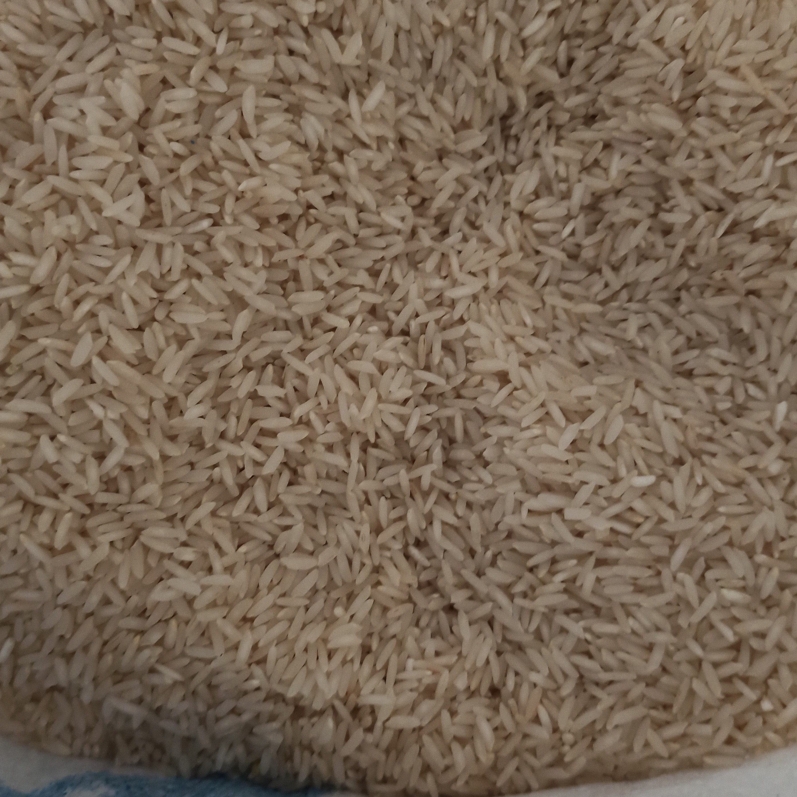 برنج طارم هاشمی بوجار شده بسته 5 کیلویی
