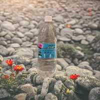 گلاب دو آتیشه