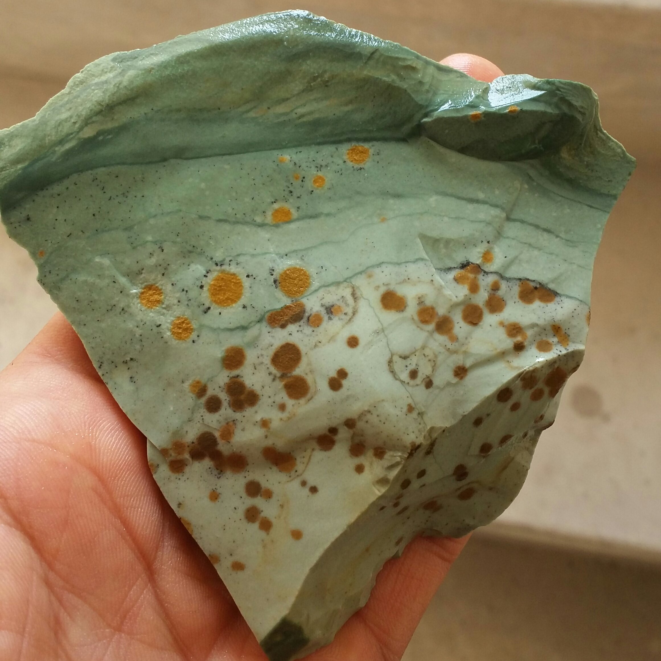 سنگ راف وارداتی جاسپر اقیانوسی خالخالی 100 در 100 طبیعی شاهکار خلقت بی نظیر
با قابلیت ساخت چند نگین قیمتی کد 9644