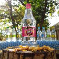 گلاب ممتاز نحل کاشان (24 کیلوگرم گل)