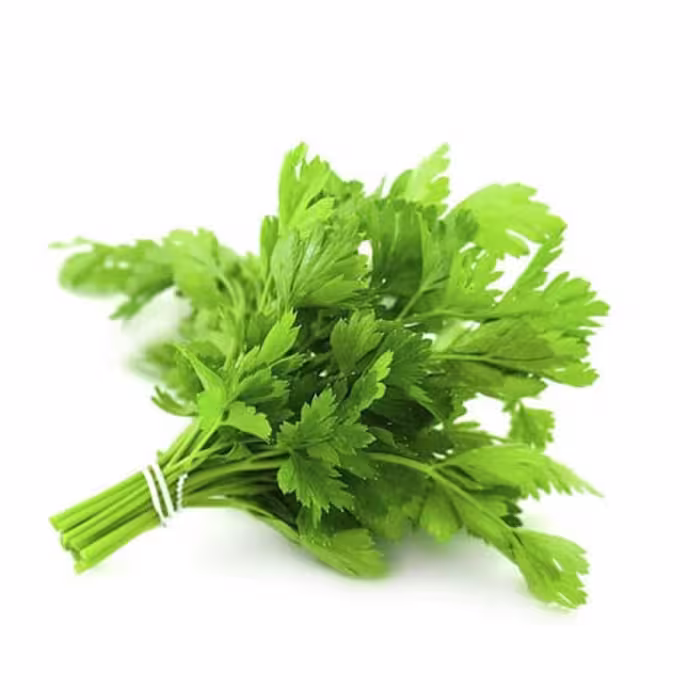 بذر سبزی جعفری