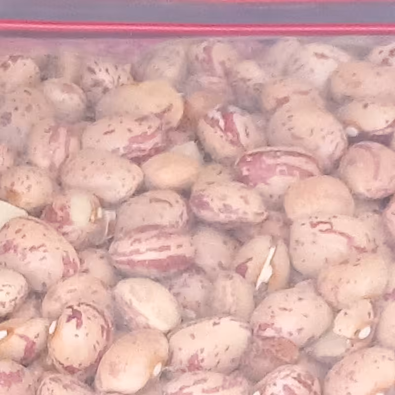 لوبیا چیتی سایز متوسط خوش پخت  دربسته یک کیلوی(78هزار تومن)