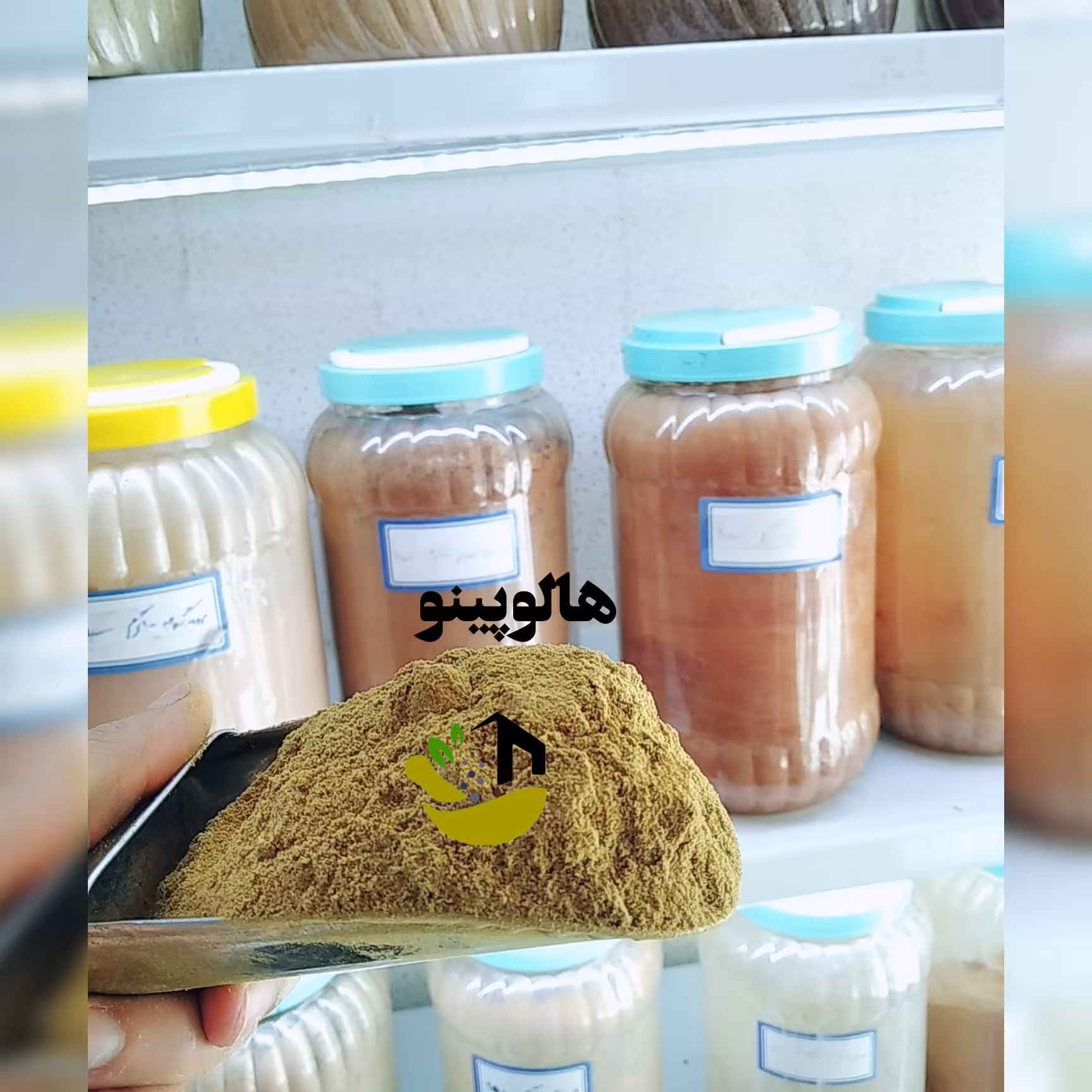 پودر هالوپینو(تند و آتشین)