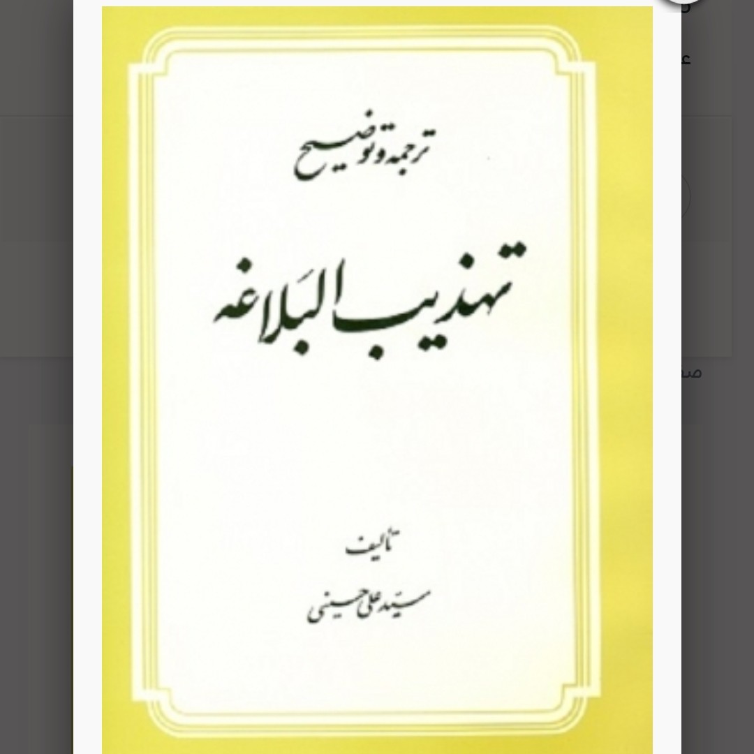 کتاب ترجمه و توضیح تهذیب البلاغه تالیف سید علی حسینی وزیری 378 صفحه