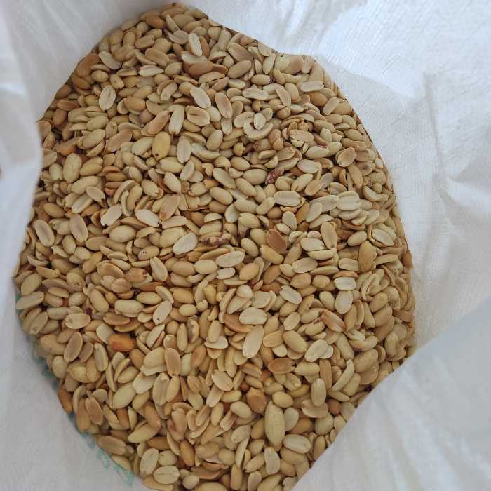 بادام زمینی مخصوص کره گیری فوق العاده پر چرب و عالی