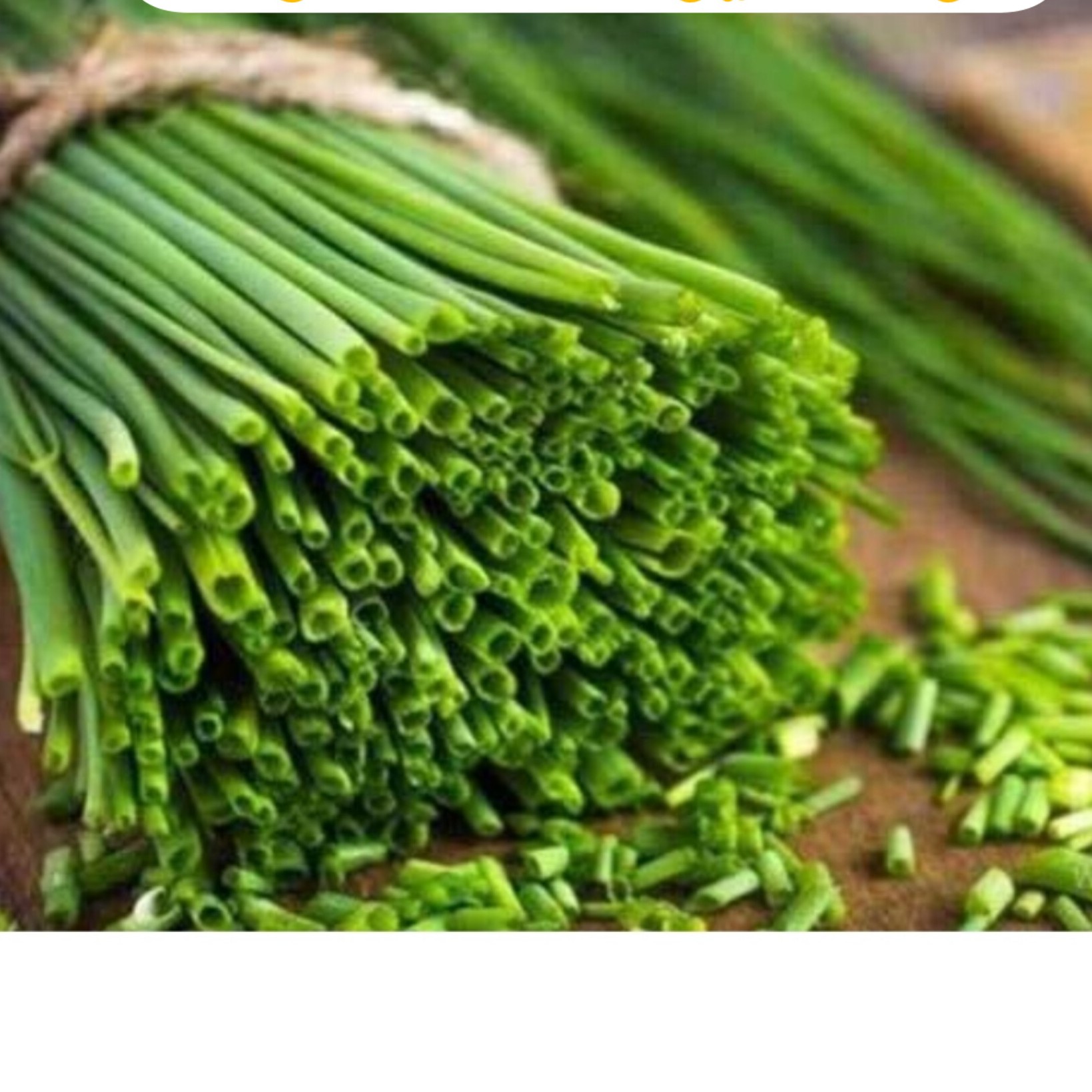 تره مرغزار فریدونشهر (50 گرمی)