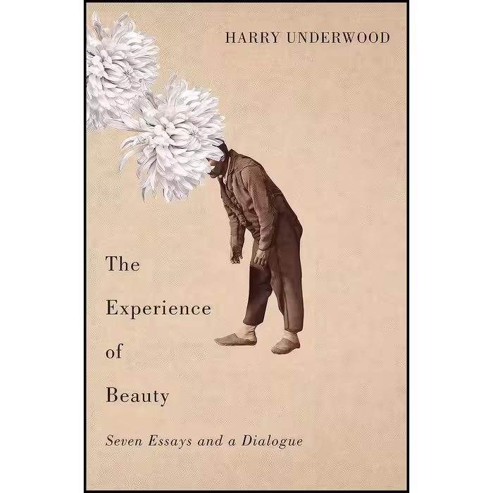 کتاب زبان اصلی The Experience of Beauty اثر Harry Underwood