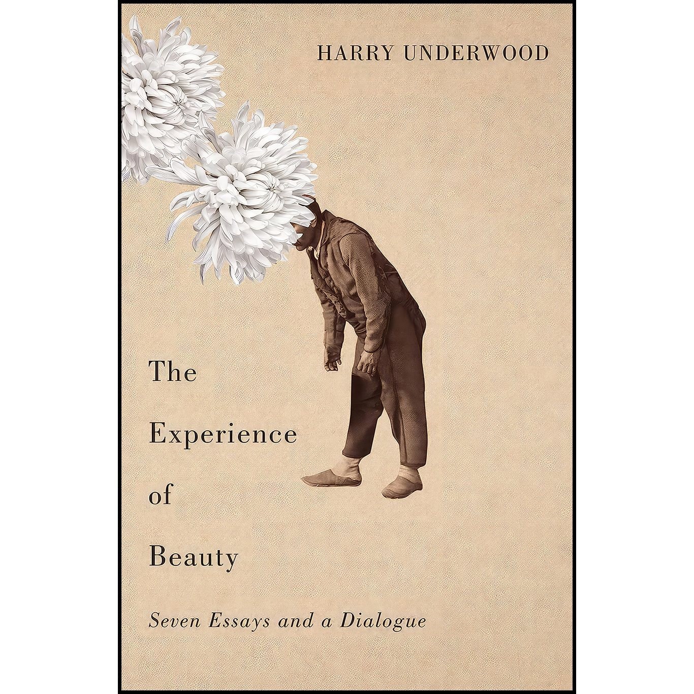 کتاب زبان اصلی The Experience of Beauty اثر Harry Underwood