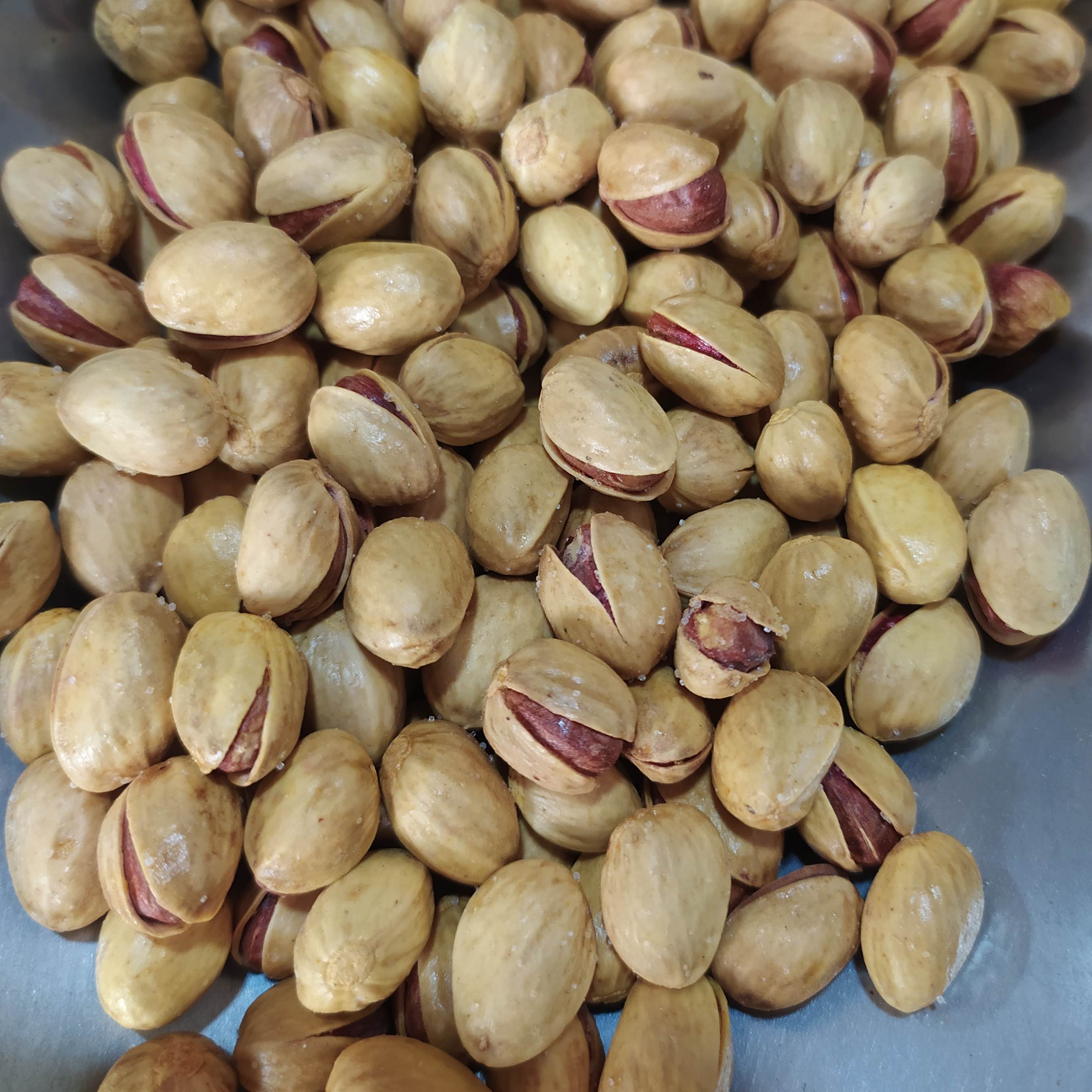 پسته فندقی تازه شور و خام نیم کیلویی