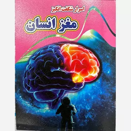 اسرار شگفت انگیز مغز انسان