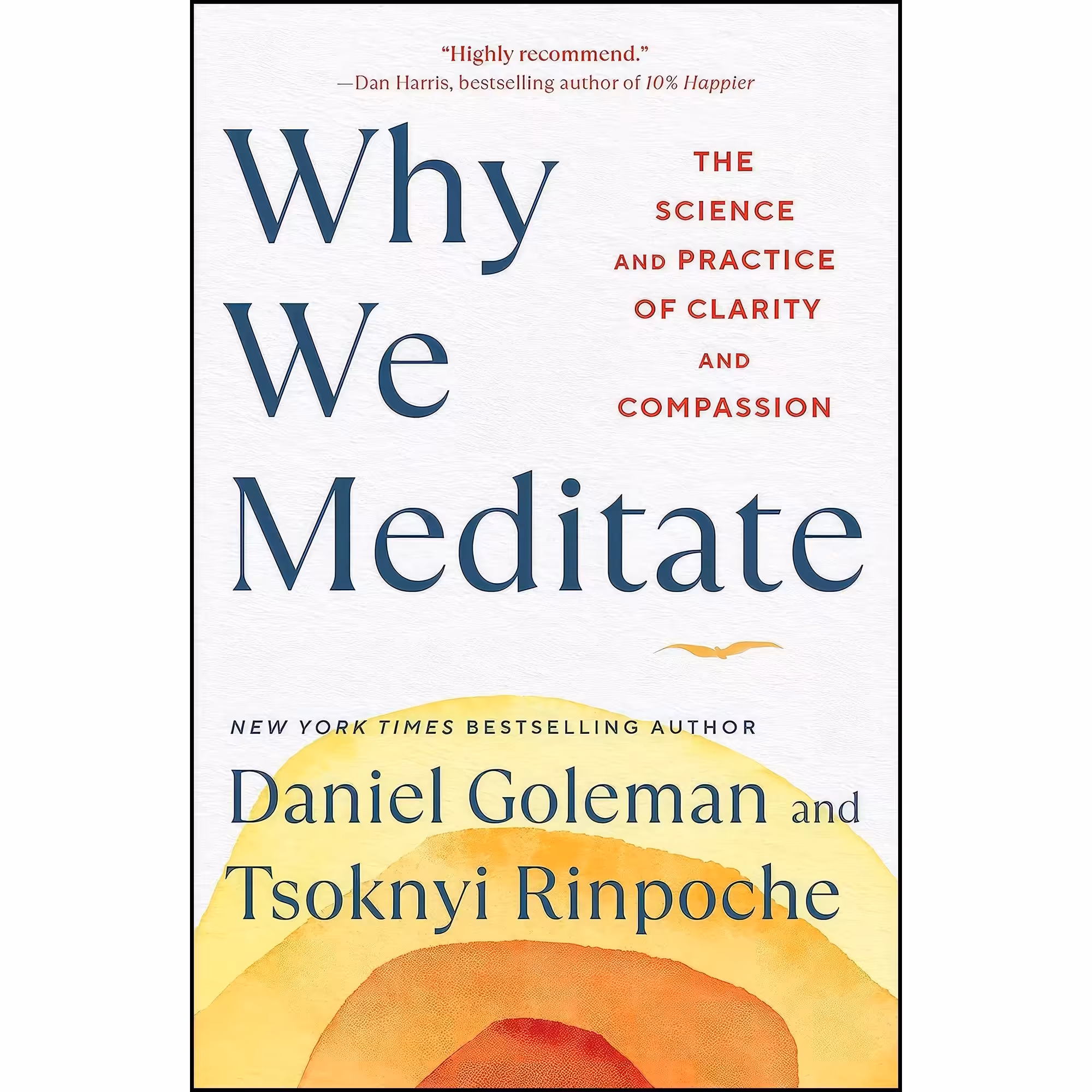 کتاب زبان اصلی Why We Meditate اثر Daniel Goleman and Tsoknyi Rinpoche